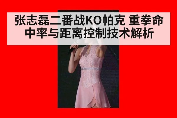 张志磊二番战KO帕克 重拳命中率与距离控制技术解析(jiuyou)